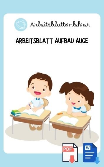 Arbeitsblatt Aufbau Auge