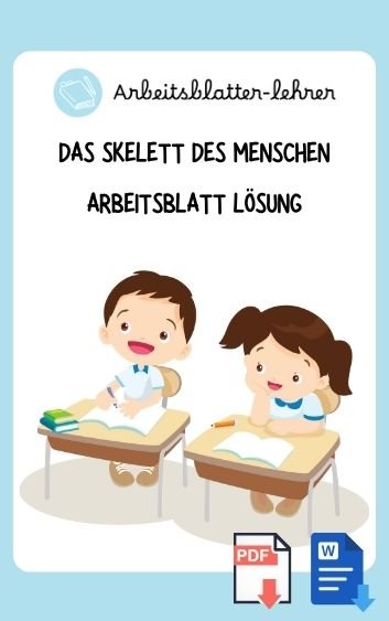 Das Skelett Des Menschen Arbeitsblatt Lösung